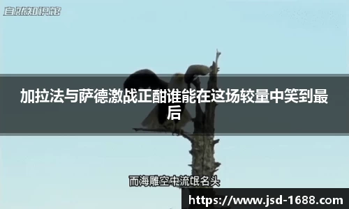 BB贝博登录入口