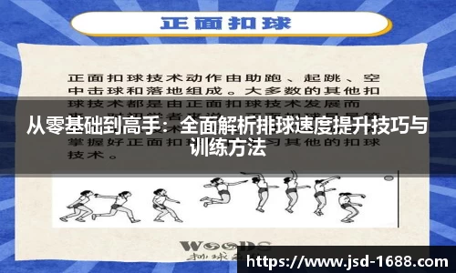 BB贝博登录入口