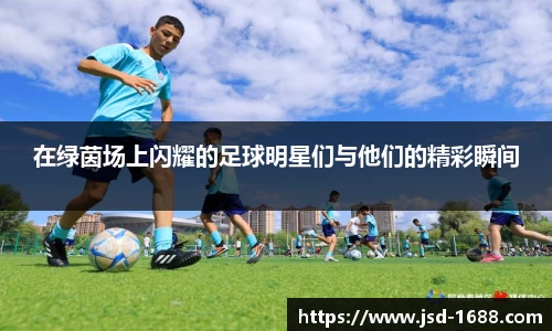 BB贝博登录入口